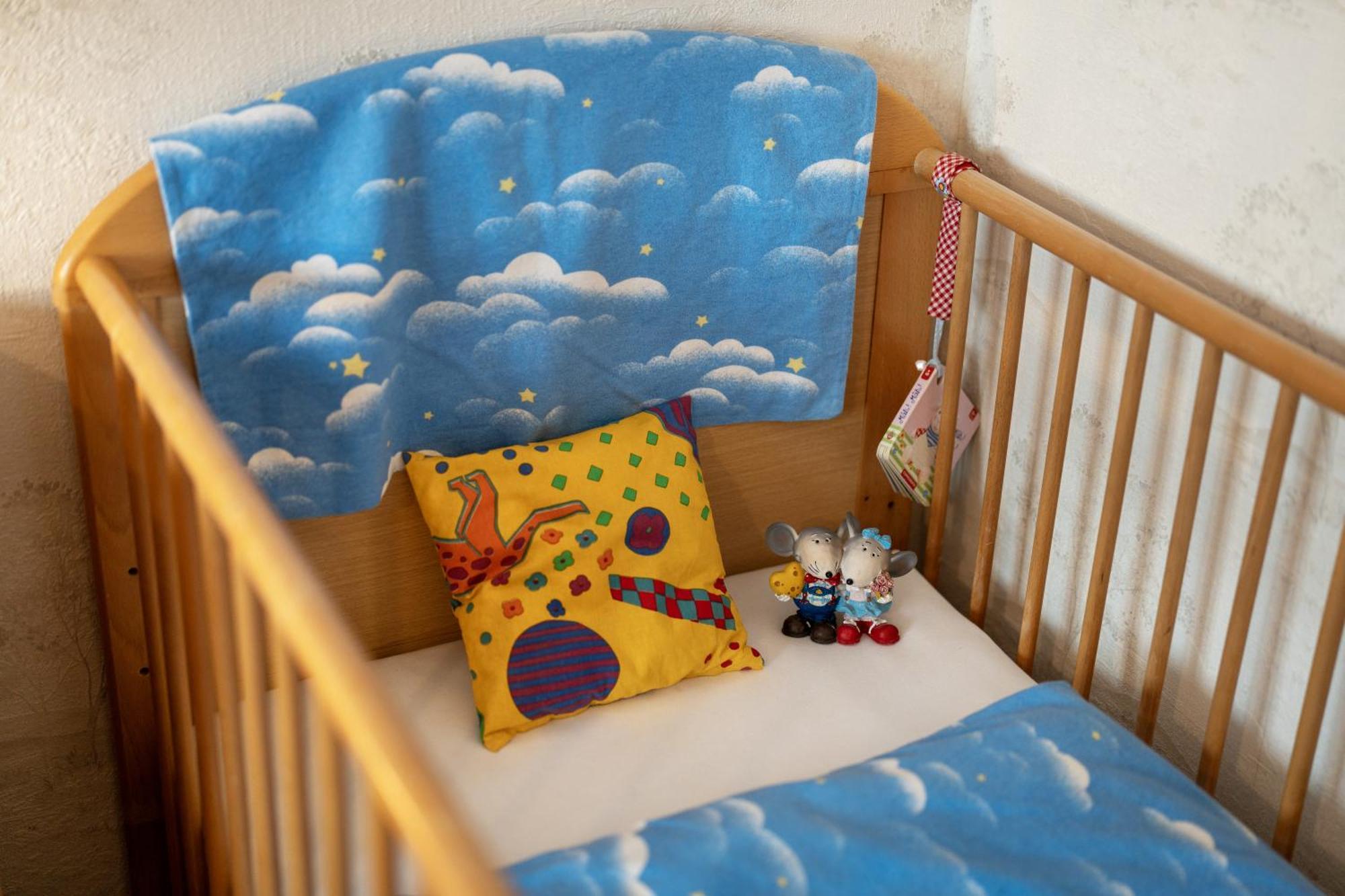 Ferienwohnung Berghansenhof Wolfach Ngoại thất bức ảnh